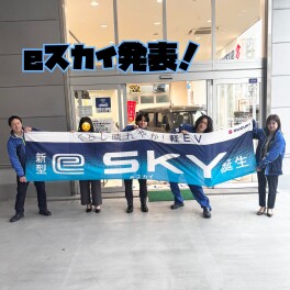 eスカイ！